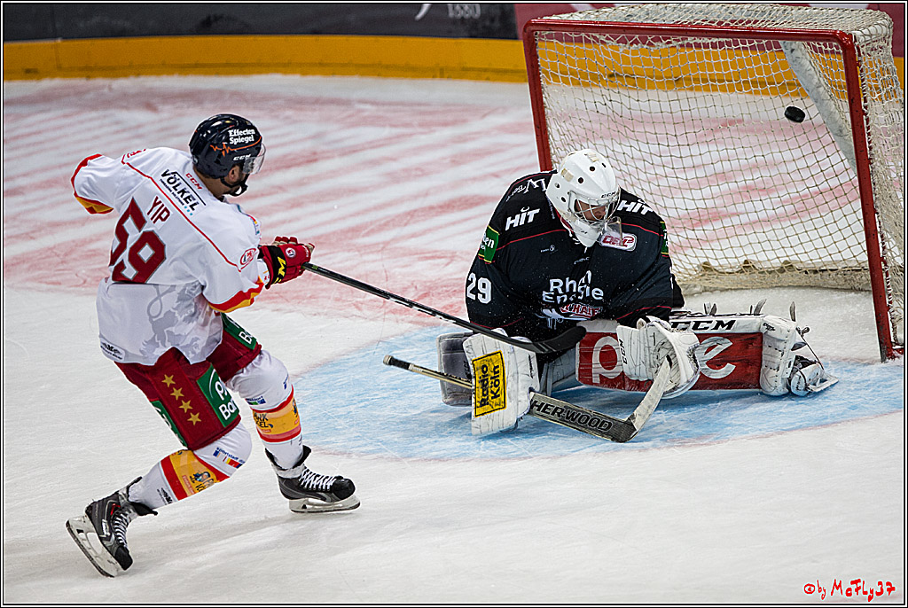 Koelner Haie - Duesseldorfer EG, 18.12.2016